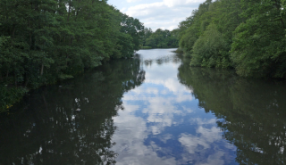Whiteknights Lake